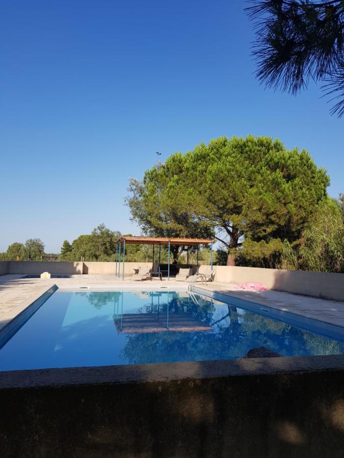 Vacances En Camargue Proche De La Mer Climatise Aigues-Mortes Bagian luar foto