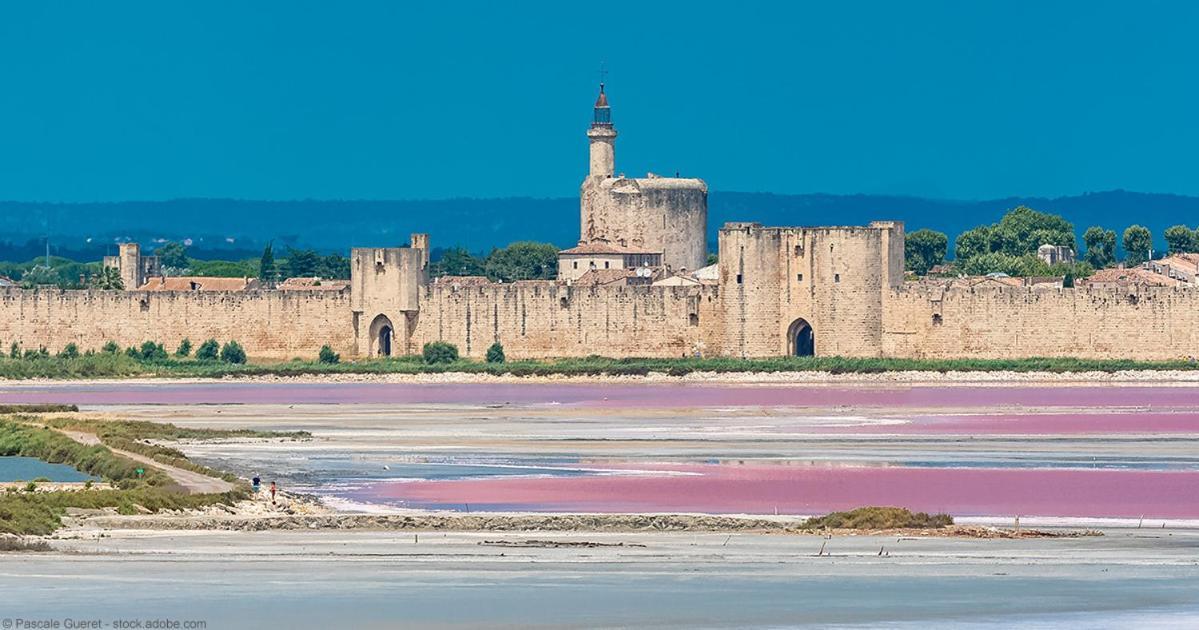 Vacances En Camargue Proche De La Mer Climatise Aigues-Mortes Bagian luar foto