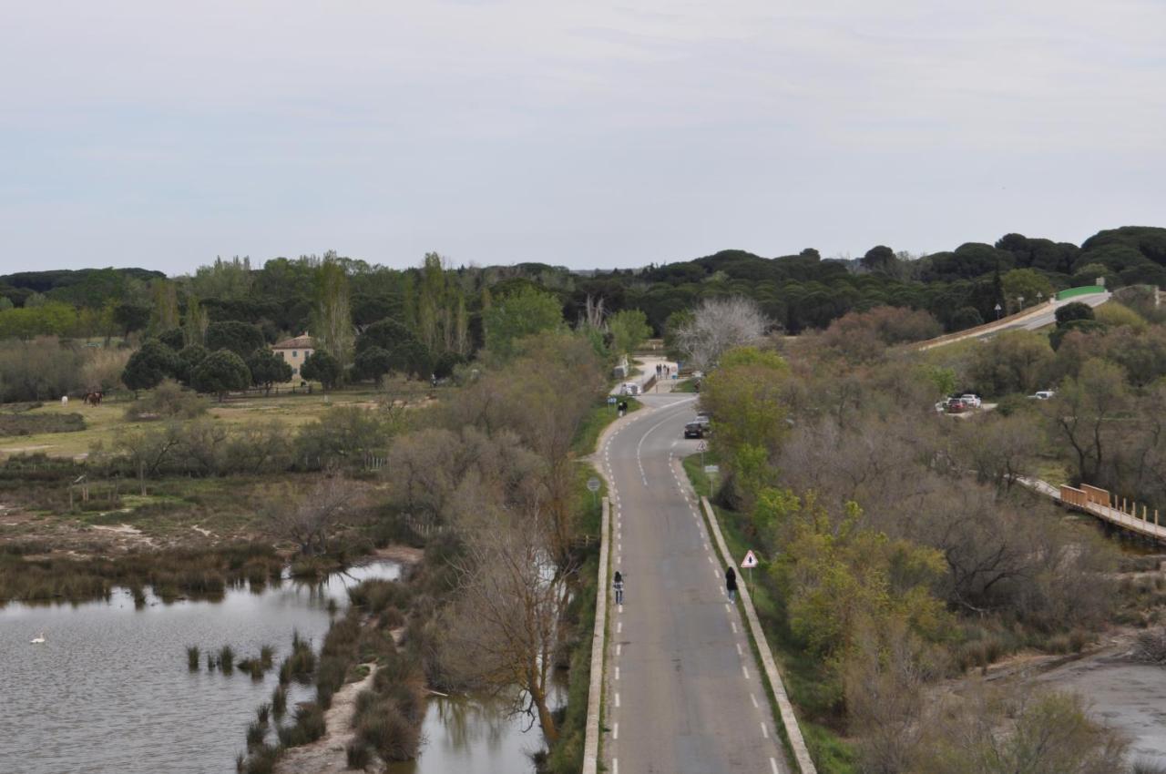 Vacances En Camargue Proche De La Mer Climatise Aigues-Mortes Bagian luar foto
