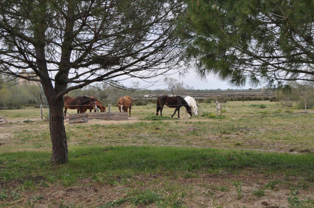 Vacances En Camargue Proche De La Mer Climatise Aigues-Mortes Bagian luar foto